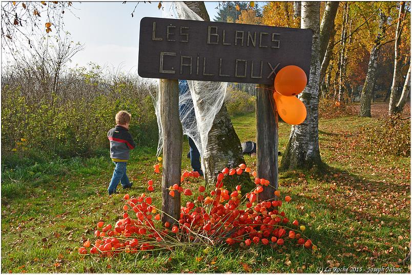 halloween_mousny_2015 (59)