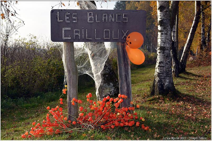 halloween_mousny_2015 (70)