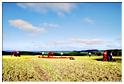 paramoteur_2011 (74)