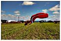 paramoteur_2011 (171)