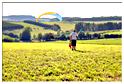 paramoteur_2011 (261)