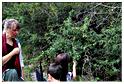 pndo_patrimoine_2011 (35)