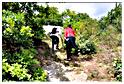pndo_patrimoine_2011 (41)