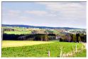 promenade_nisramont_avril2011 (16)