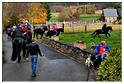 saint-hubert_berismenil_2015 (76)
