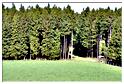 marche_samree_televie (25)