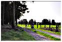 marche_samree_televie (27)