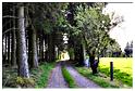 marche_samree_televie (28)