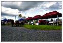 semences_nisramont_2015 (39)