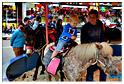 souper_bresiliens_2014 (9)