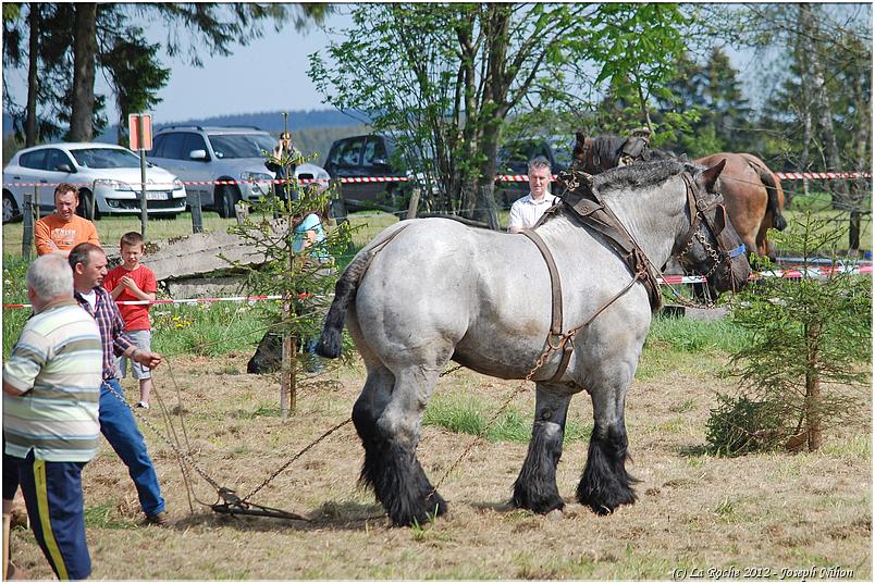 traction_chevaline_samrée_2012 (15)