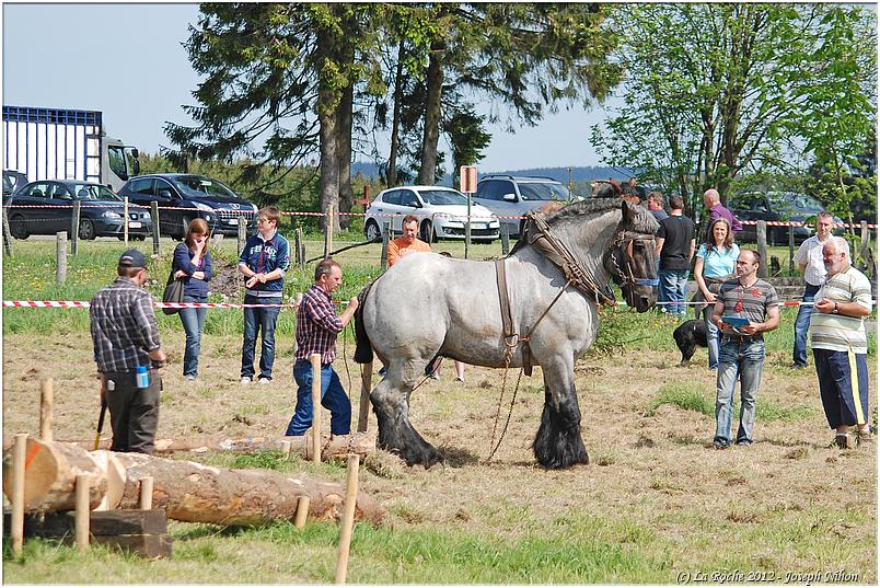 traction_chevaline_samrée_2012 (16)