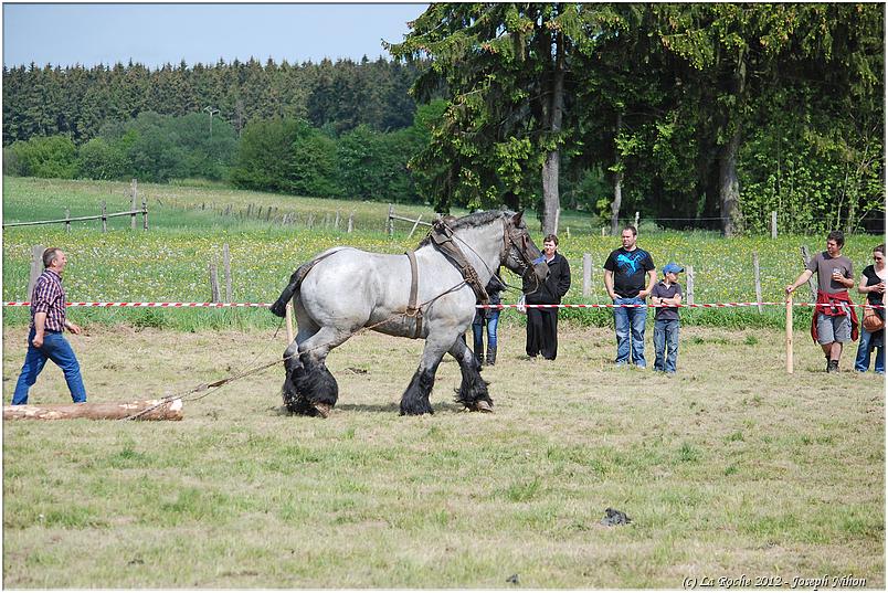 traction_chevaline_samrée_2012 (19)