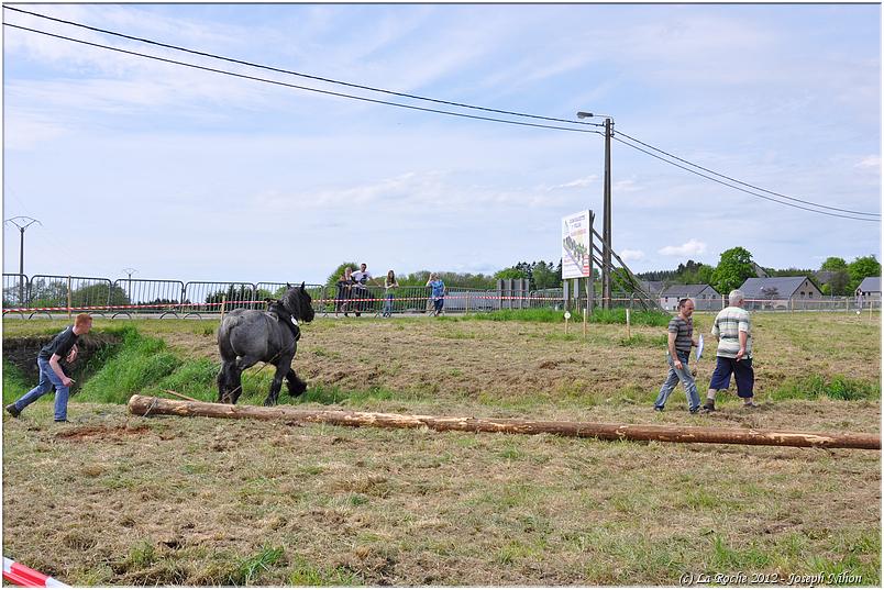 traction_chevaline_samrée_2012 (94)