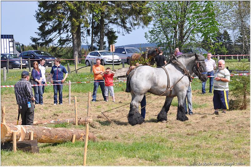 traction_chevaline_samrée_2012 (105)