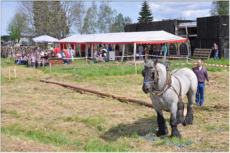 traction_chevaline_samrée_2012 (110)