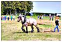 traction_chevaline_samrée_2012 (113)