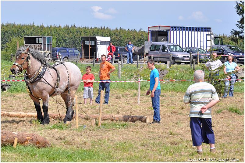 traction_chevaline_samrée_2012 (122)