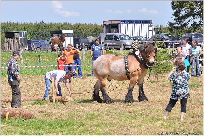 traction_chevaline_samrée_2012 (123)