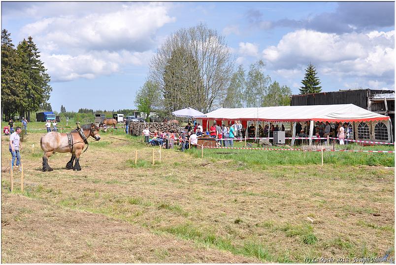 traction_chevaline_samrée_2012 (127)