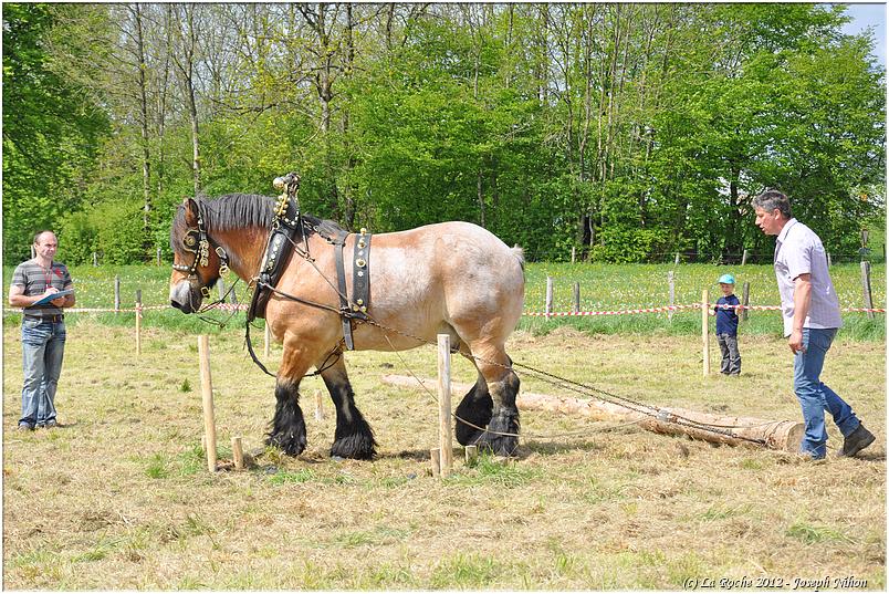 traction_chevaline_samrée_2012 (140)