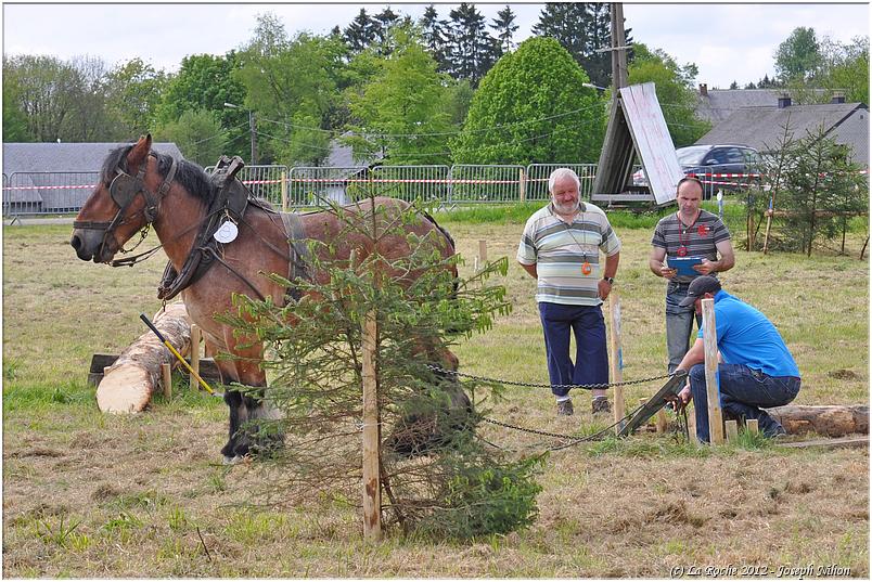 traction_chevaline_samrée_2012 (144)