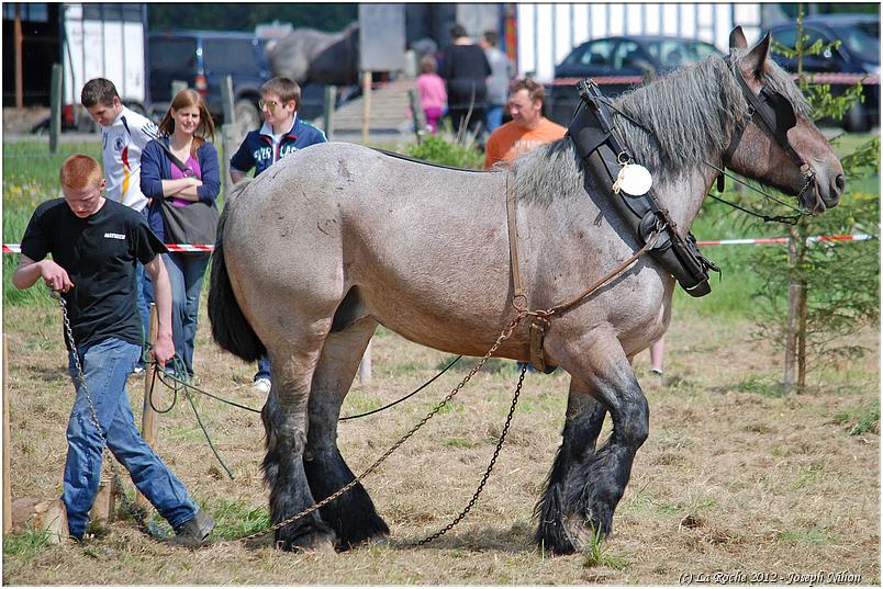 traction_chevaline_samr&eacute;e_2012 (20)