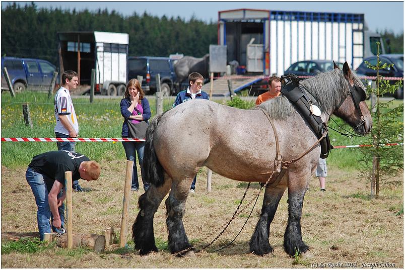 traction_chevaline_samr&eacute;e_2012 (21)