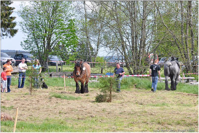 traction_chevaline_samr&eacute;e_2012 (100)
