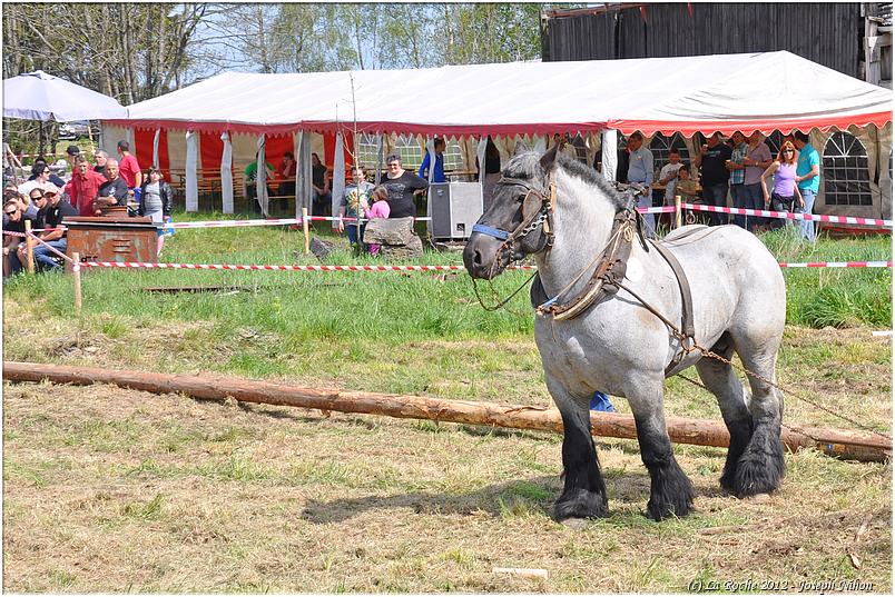 traction_chevaline_samr&eacute;e_2012 (109)