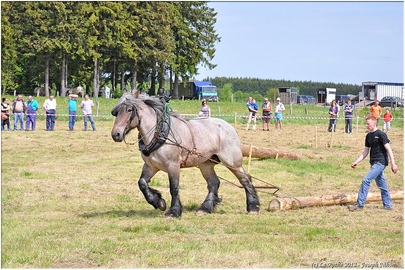 traction_chevaline_samr&eacute;e_2012 (113)