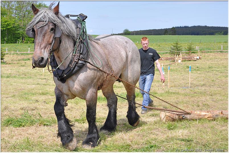 traction_chevaline_samr&eacute;e_2012 (114)