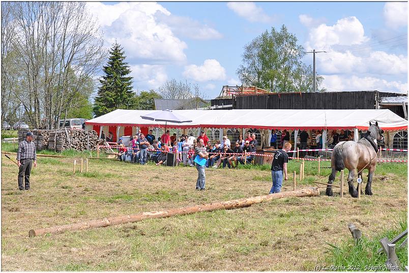 traction_chevaline_samr&eacute;e_2012 (115)