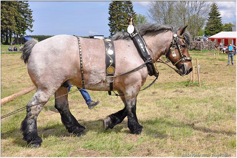 traction_chevaline_samr&eacute;e_2012 (117)