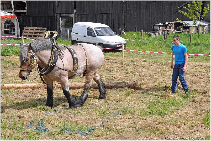 traction_chevaline_samr&eacute;e_2012 (118)