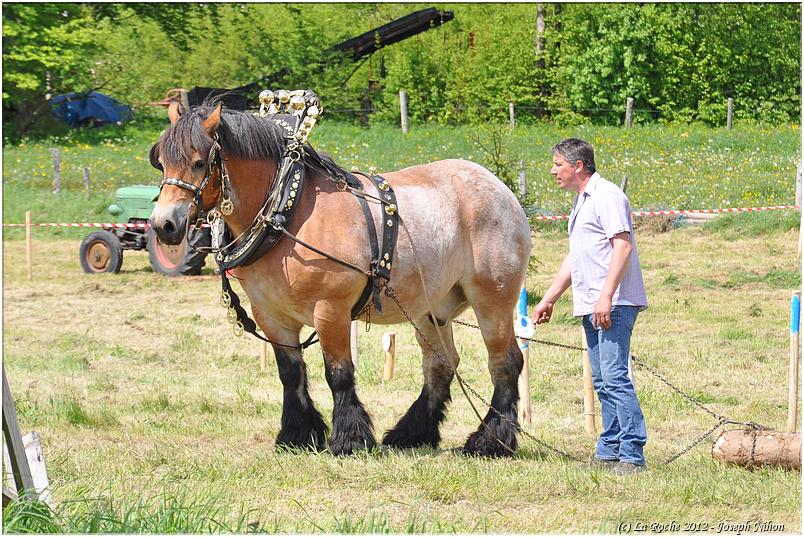 traction_chevaline_samr&eacute;e_2012 (129)