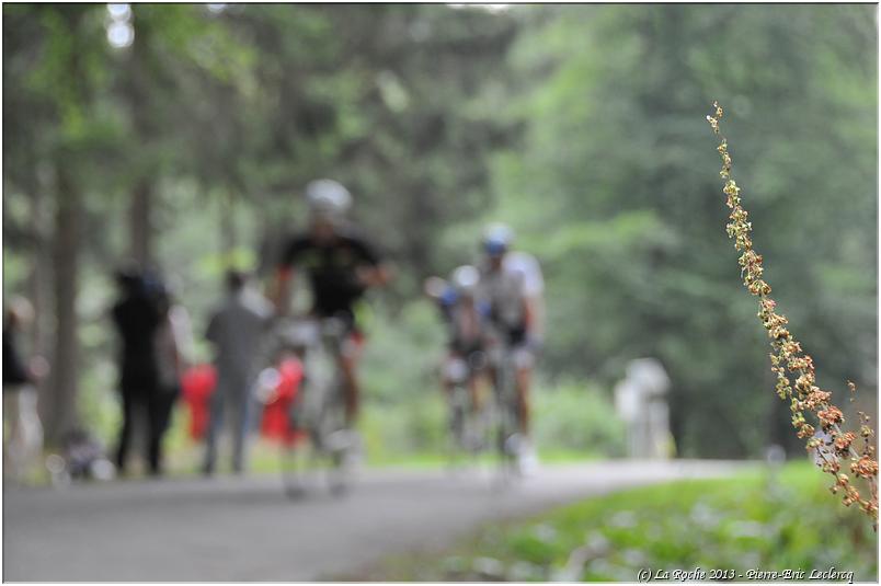 velomediane_2013 (322)