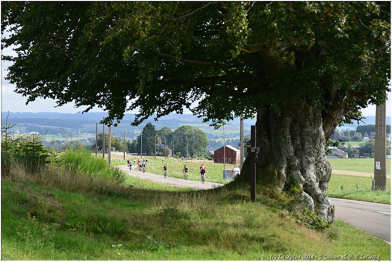 velomediane_2014 (100)