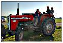 vieux_tracteurs_2012 (28)