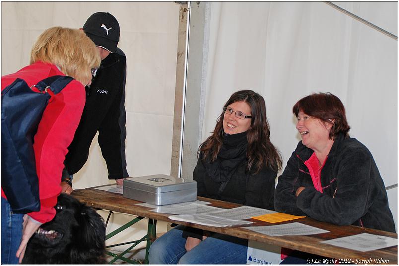 vieux_tracteurs_2012 (19)