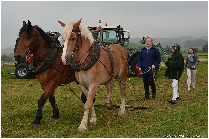 vieux_tracteurs_2014 (17)