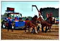 vieux_tracteurs_2014 (26)