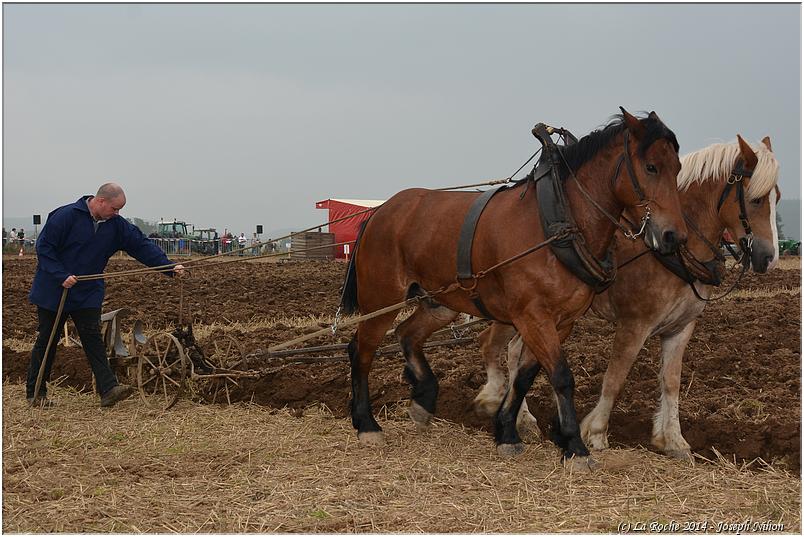 vieux_tracteurs_2014 (51)