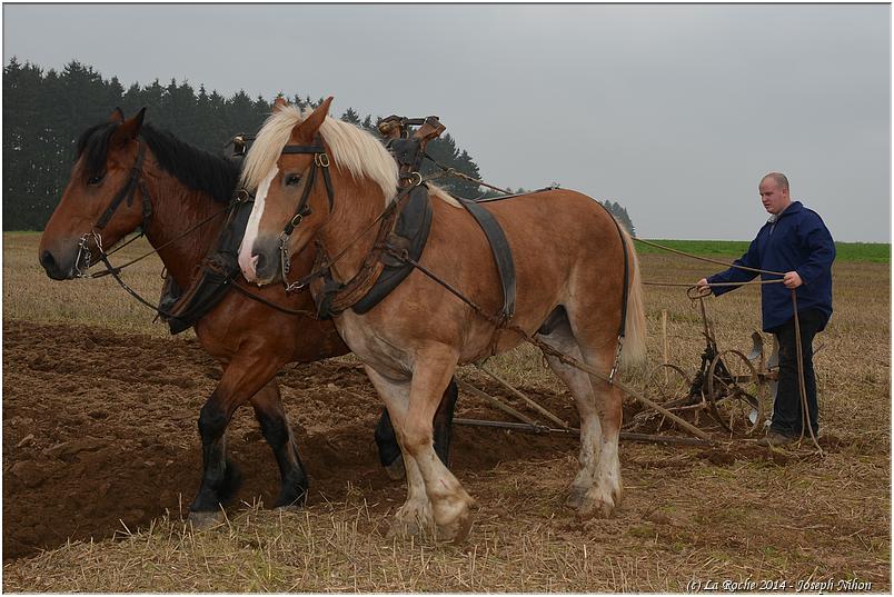vieux_tracteurs_2014 (52)