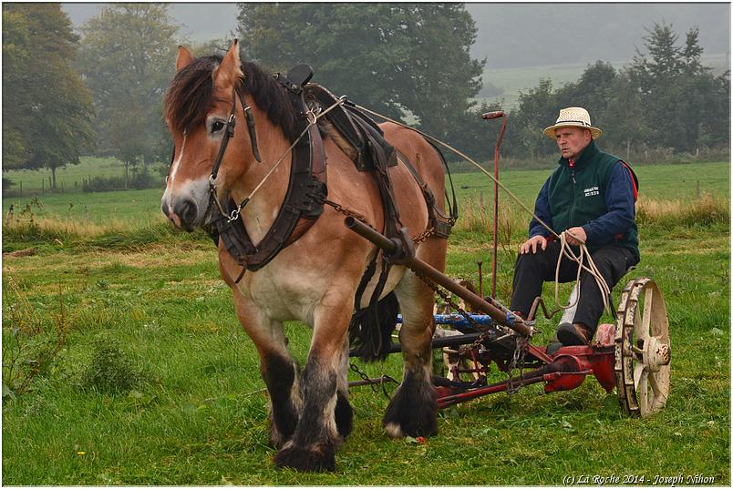vieux_tracteurs_2014 (60)