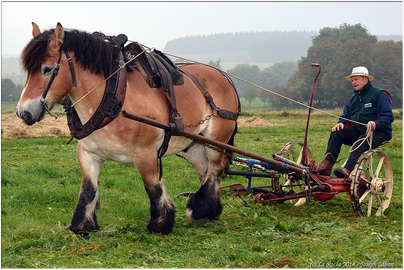 vieux_tracteurs_2014 (61)