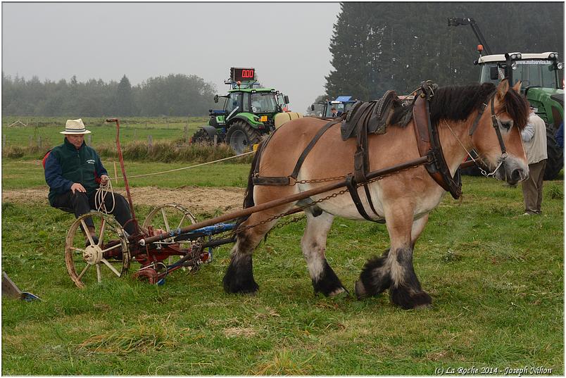 vieux_tracteurs_2014 (64)
