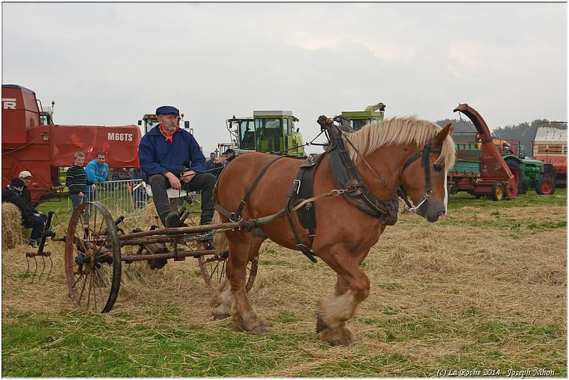 vieux_tracteurs_2014 (71)