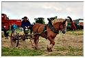 vieux_tracteurs_2014 (71)