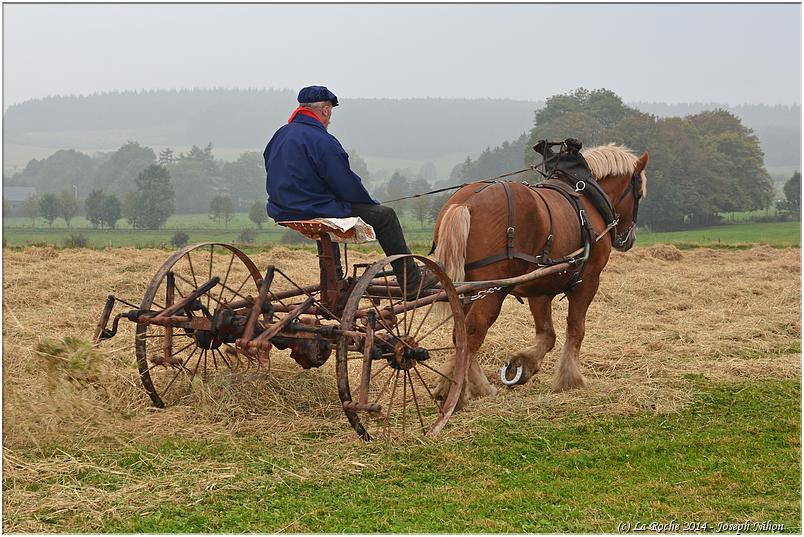 vieux_tracteurs_2014 (73)